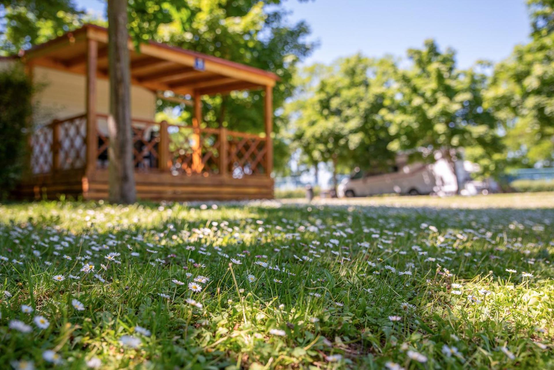 Hungarospa Thermal Camping Mobilhaz Hajduszoboszlo Exterior photo